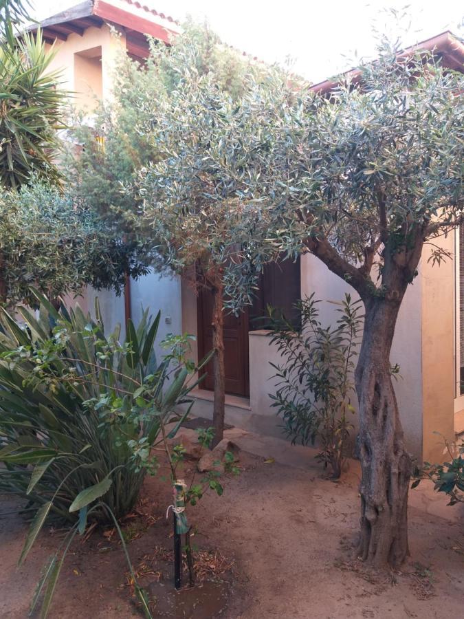 I Ginepri Guest House أولبيا المظهر الخارجي الصورة