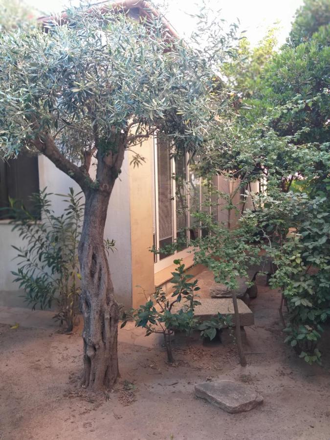 I Ginepri Guest House أولبيا المظهر الخارجي الصورة