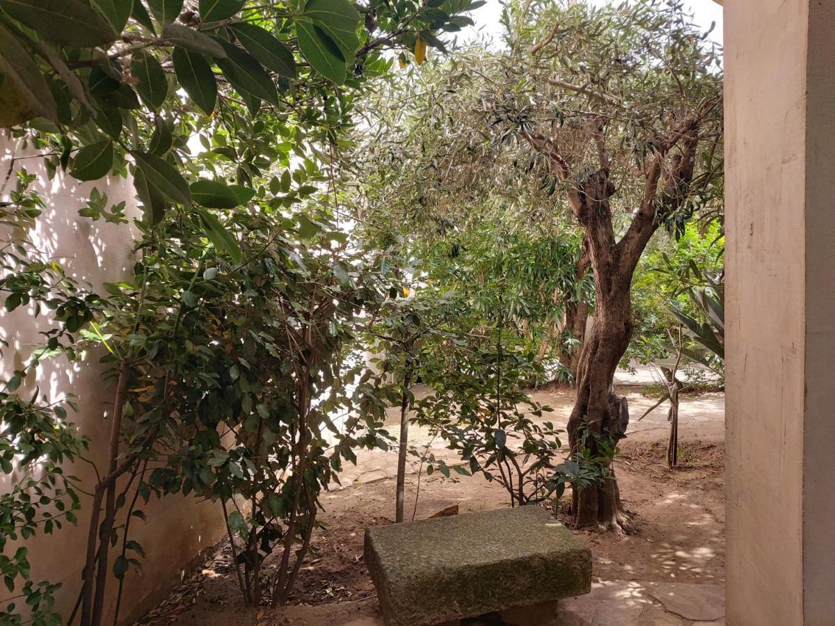 I Ginepri Guest House أولبيا المظهر الخارجي الصورة